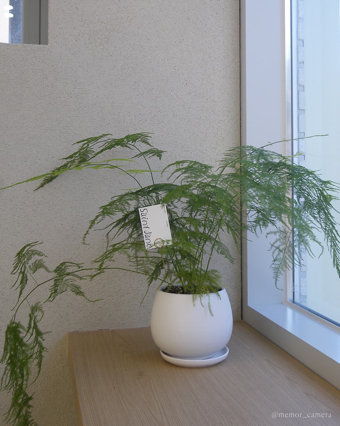 입문자추천/한국어지원✨Pentax Optio P70 펜탁스 디카 카메라 상품이미지10