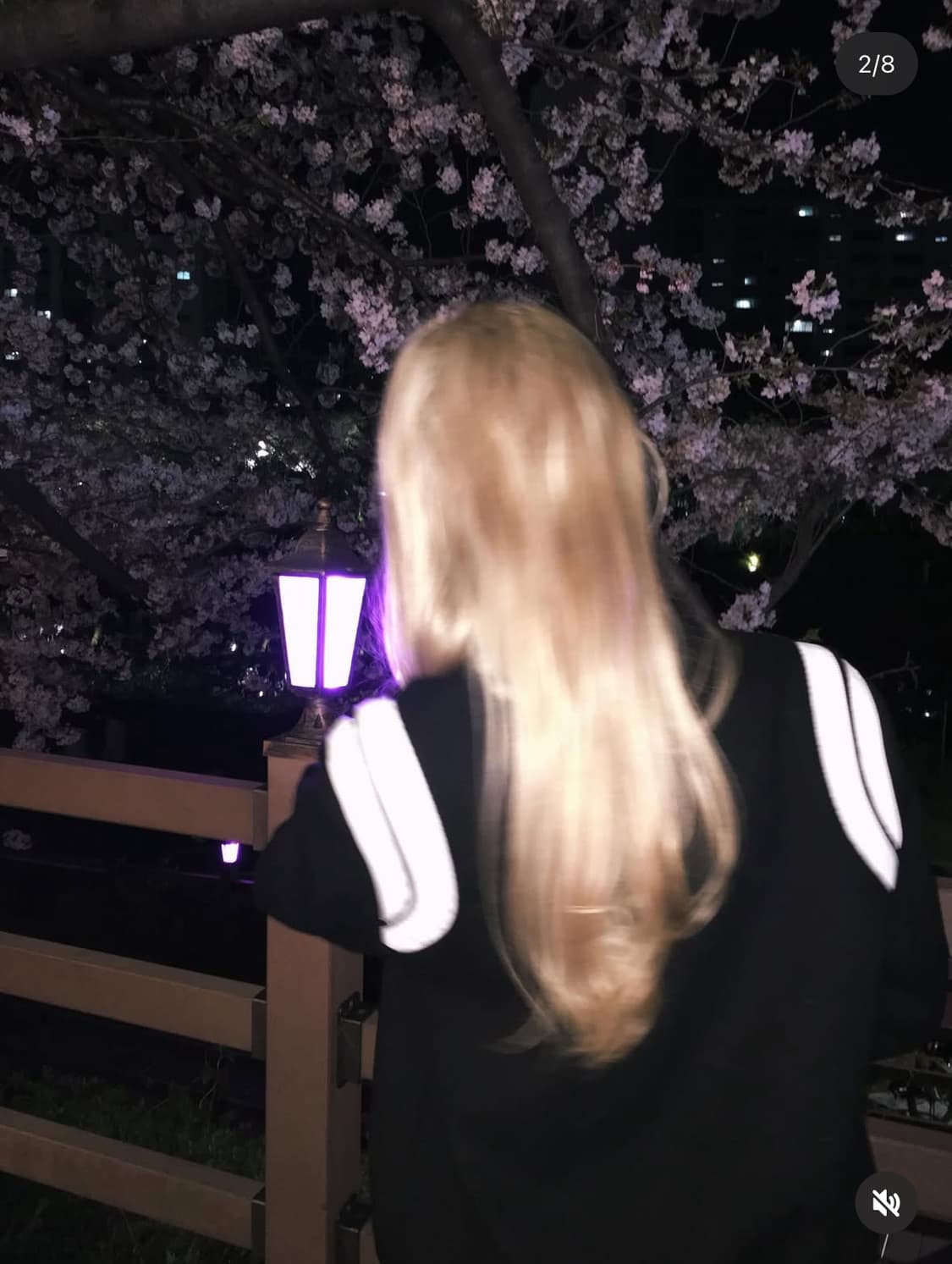 (46) 생로랑 테디 바시티 봄버 자켓 블랙 상품이미지1