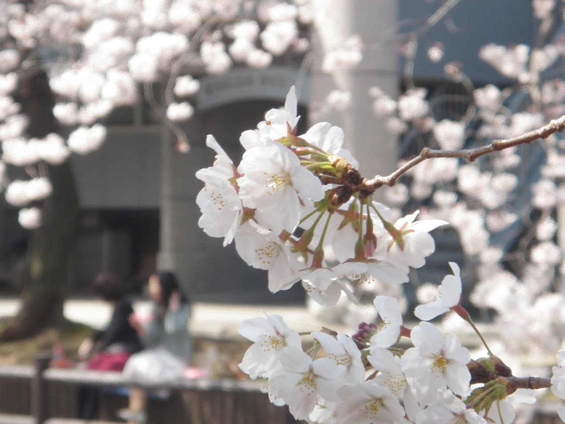 올림푸스 뮤 Olympus mju-1040 실버 상품이미지3