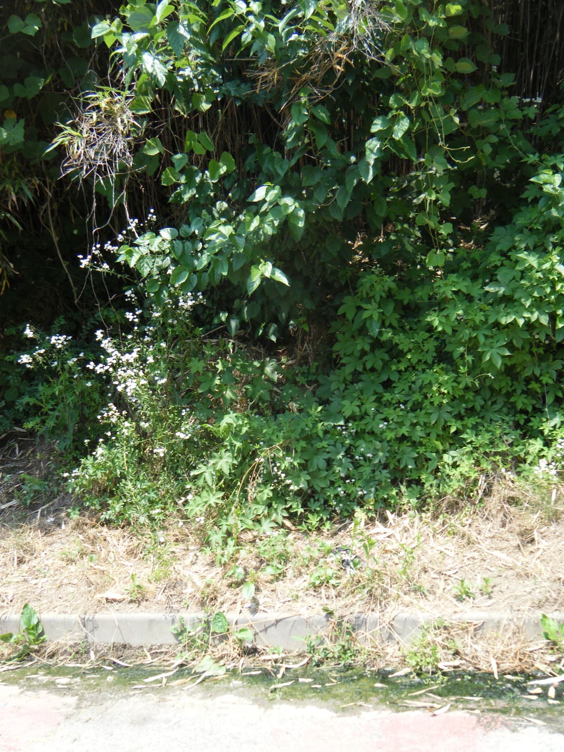 후지필름 z30(작례o) 상품이미지6