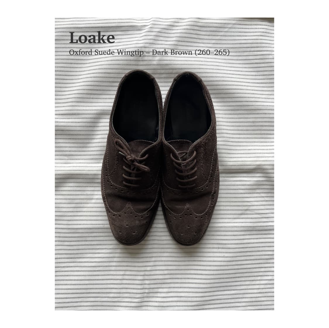 로크 옥스포드 스웨이드 윙팁 (260-265) 상품이미지1