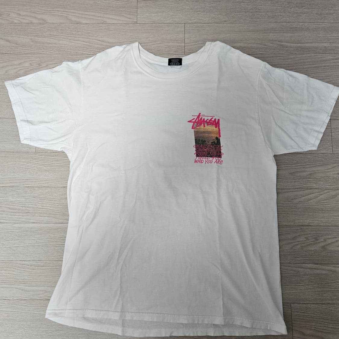 스투시 클리어데이 티셔츠 stussy clear day tee 상품이미지2