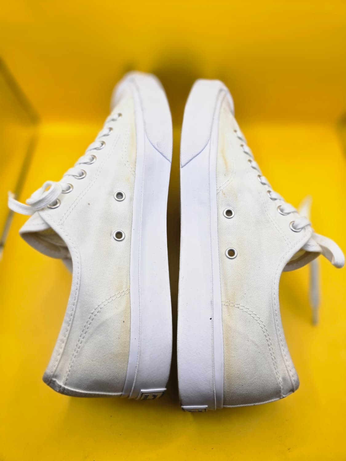 컨버스 잭퍼셀 스니커즈280 상품이미지3