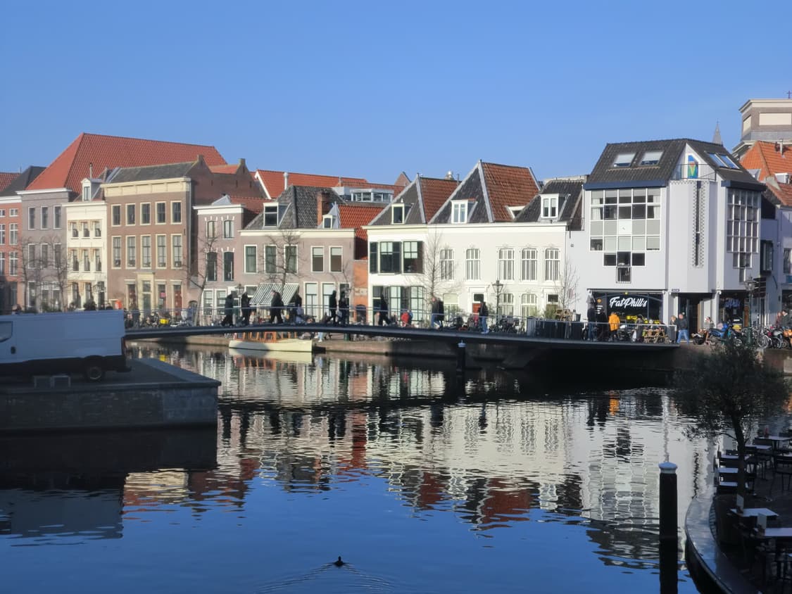 (작례O)카시오 엑슬림z2300 모카나연로제디카 상품이미지7