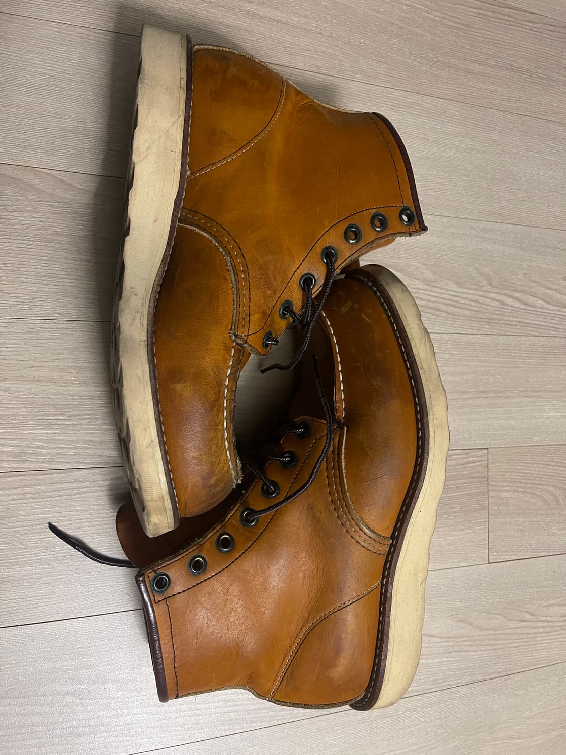 레드윙  상품이미지2