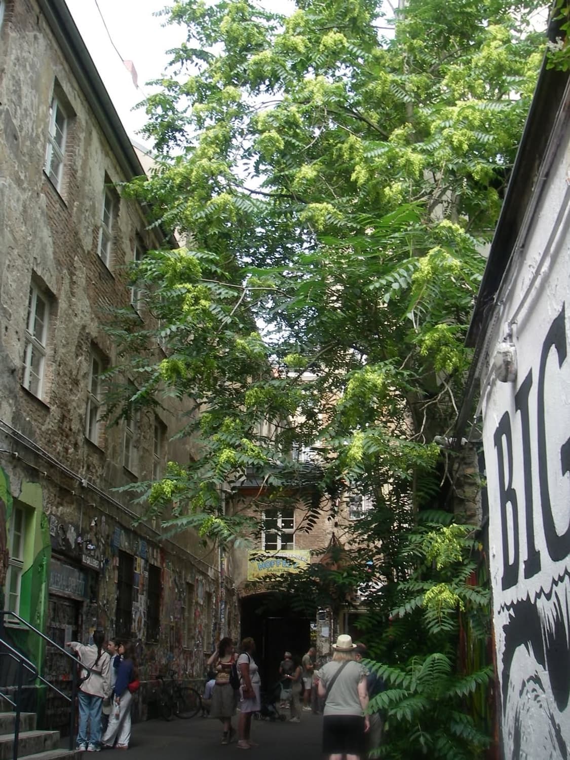 펜탁스 옵티오 WPi 상품이미지7