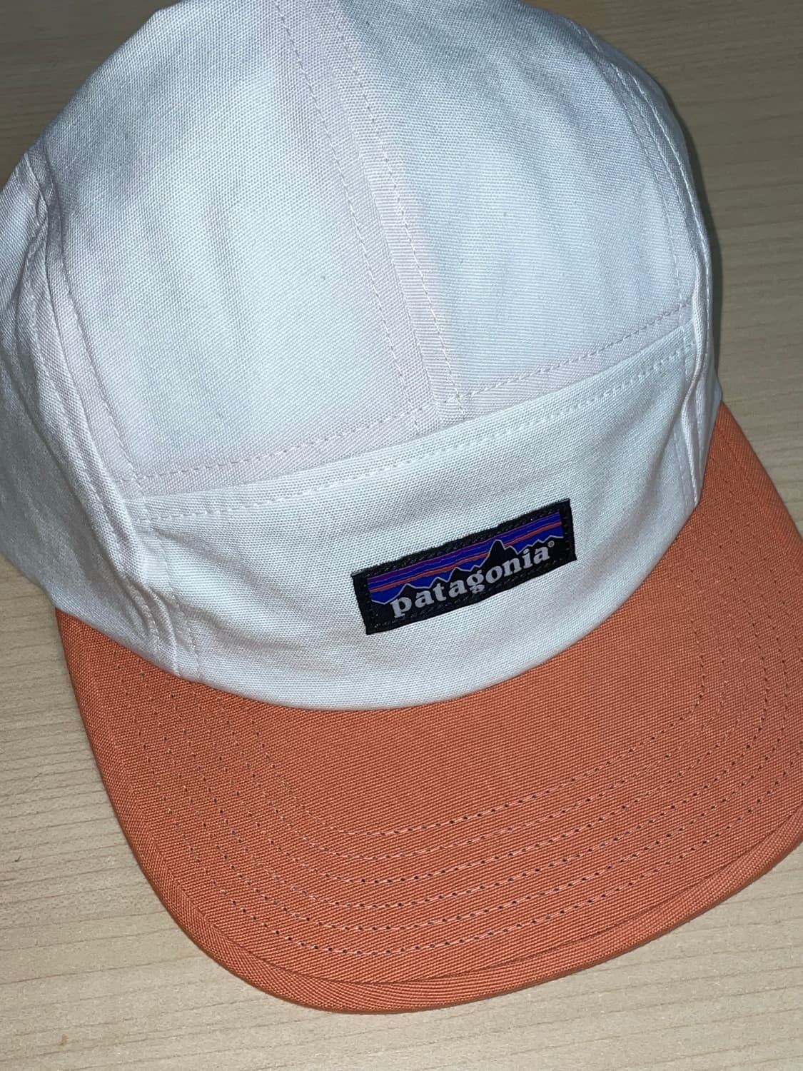 파타고니아 스냅백 상품이미지1