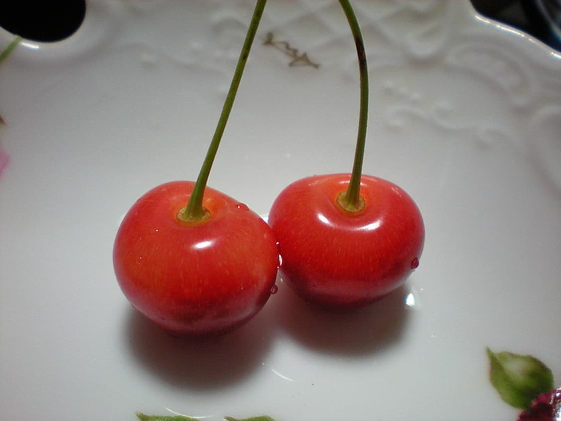 니콘 쿨픽스 Nikon Coolpix S210 퍼플 상품이미지3