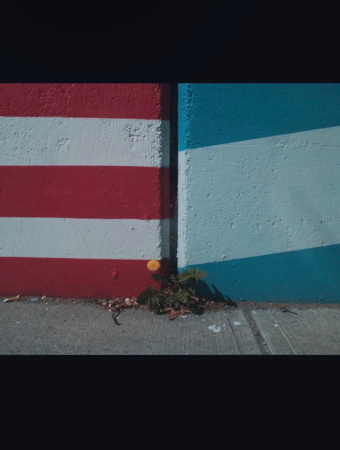 폴라로이드 디지털카메라 상품이미지10