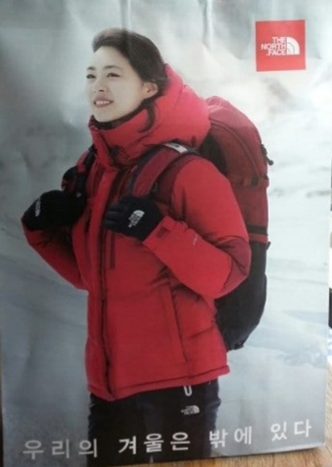 노스페이스 프리즘 구스다운 패딩 상품이미지10