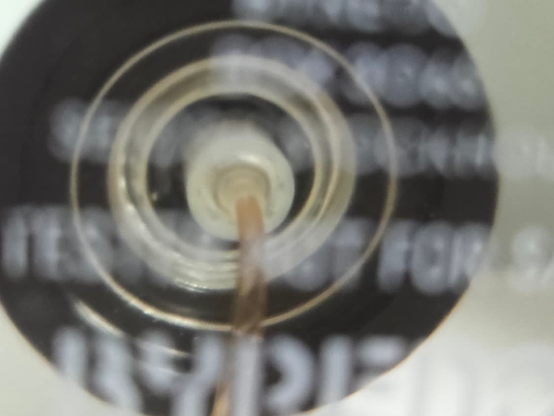 바이레도 선데이즈드 100ml 정품 상품이미지3