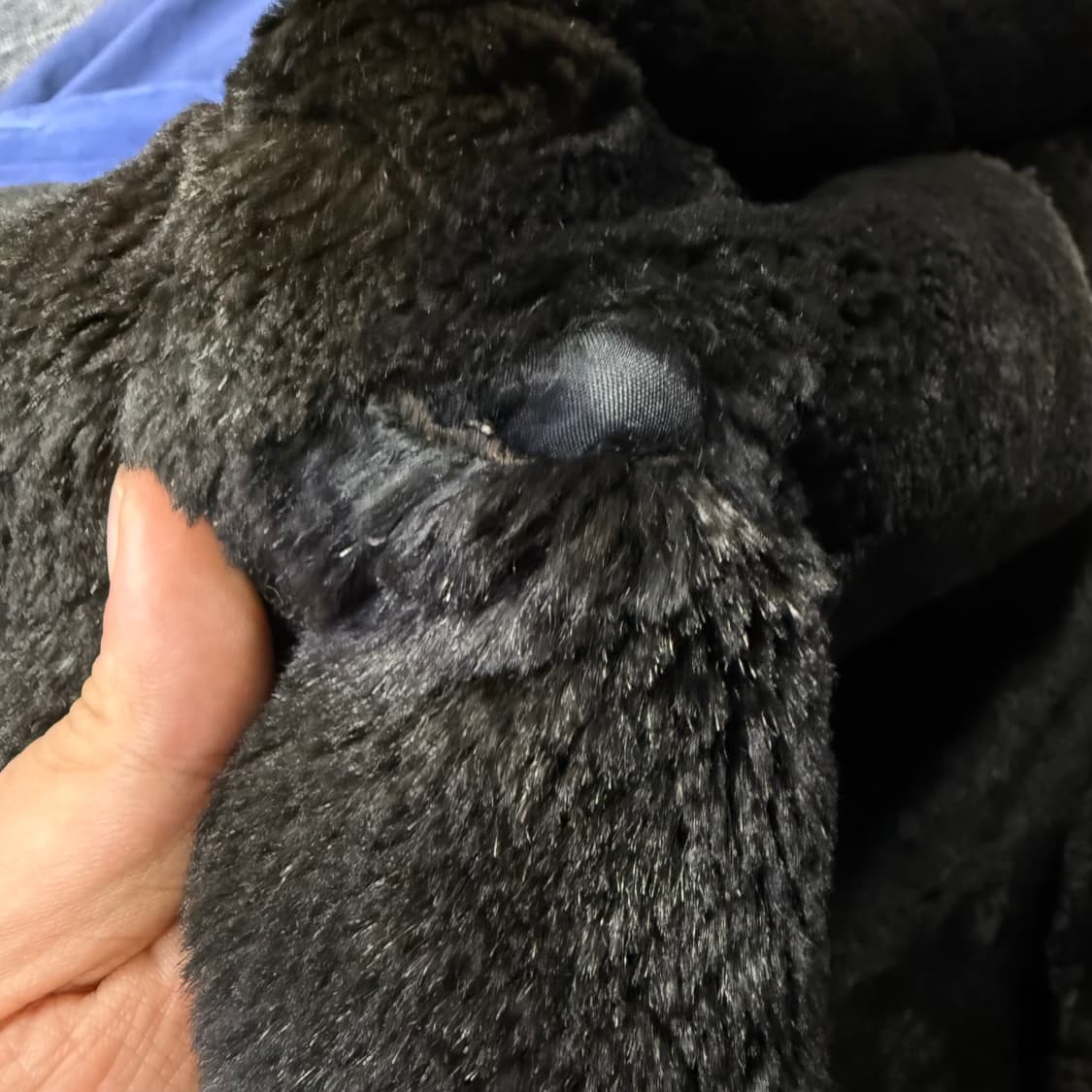 입생로랑 모피 레이어드 코트   상품이미지7