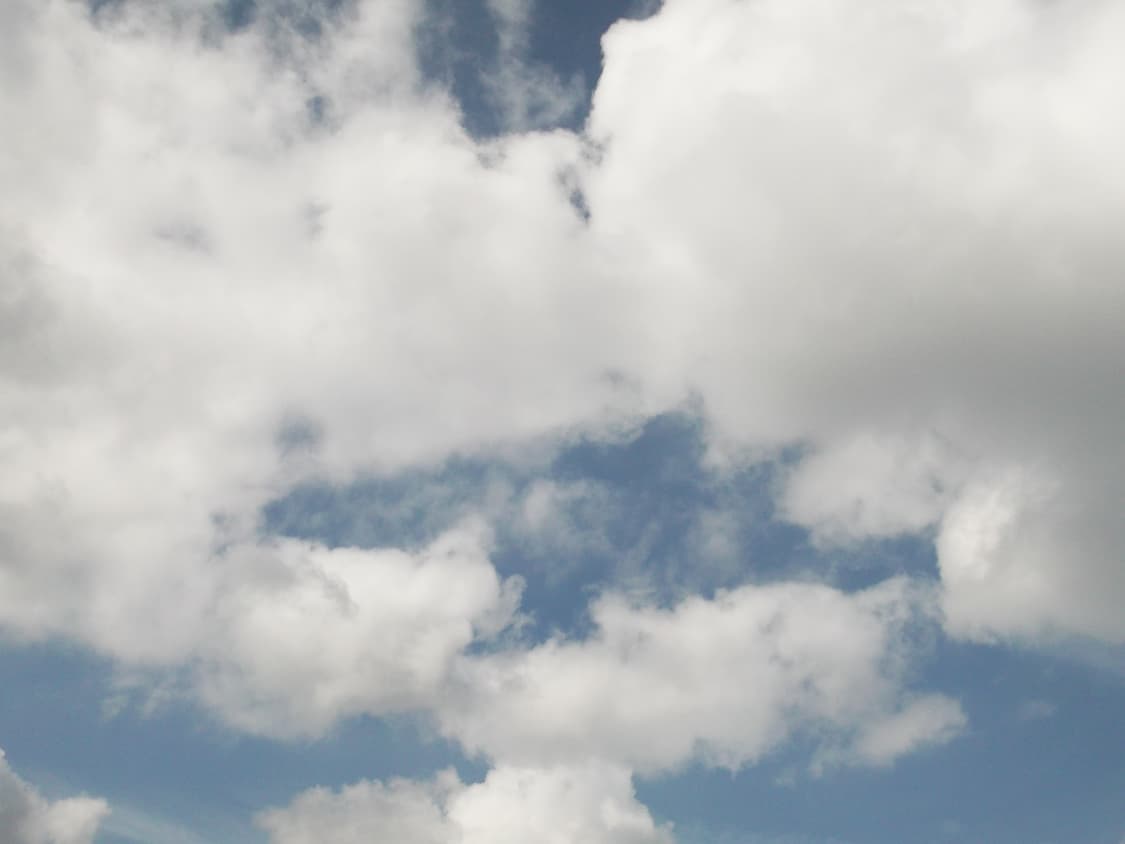 후지필름 파인픽스 L55 fujiflm finepix l55 상품이미지4