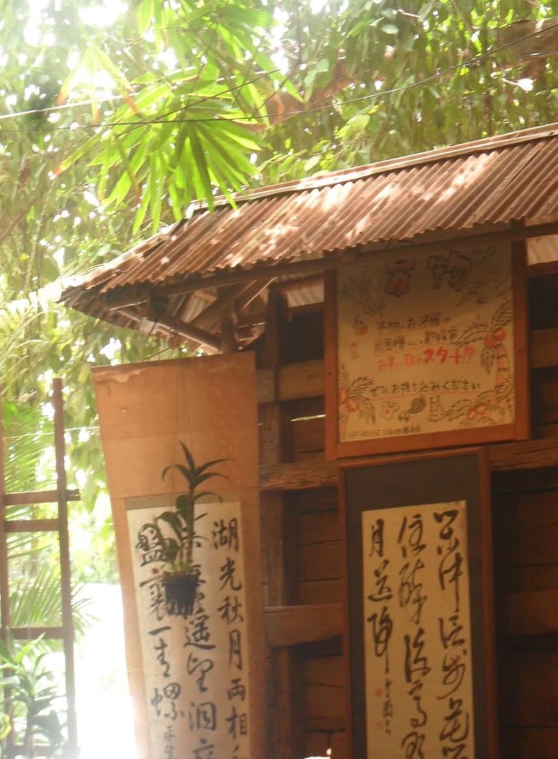 삼성pl100 (tl205) 디지털카메라 상품이미지9