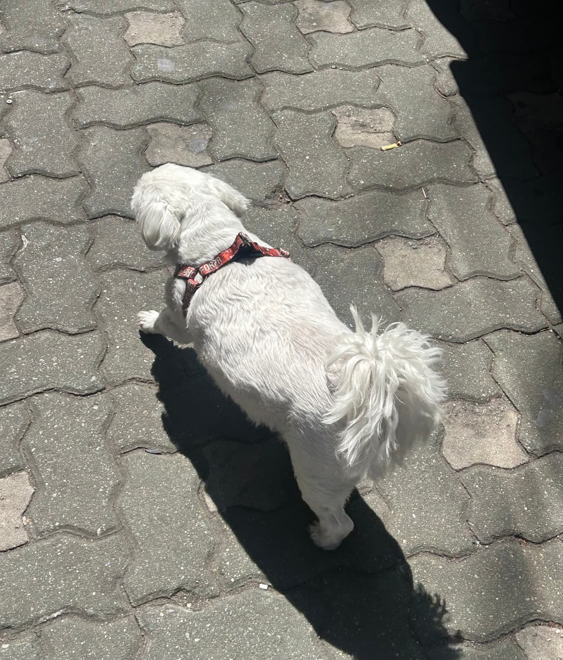 개인결제 상품이미지1