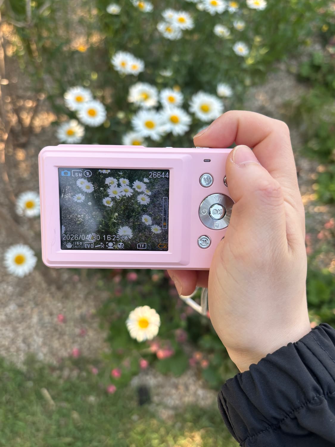 알리 디카 상품이미지6