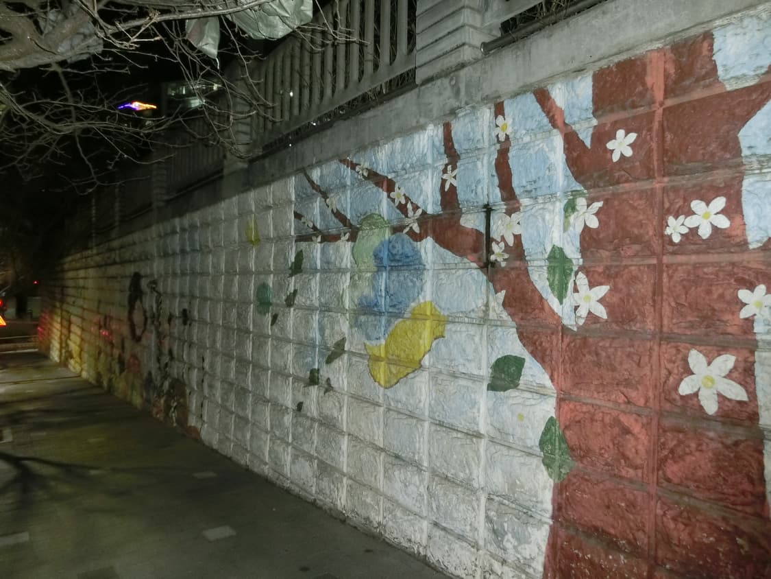 S급) 카시오 ZR500 상품이미지6