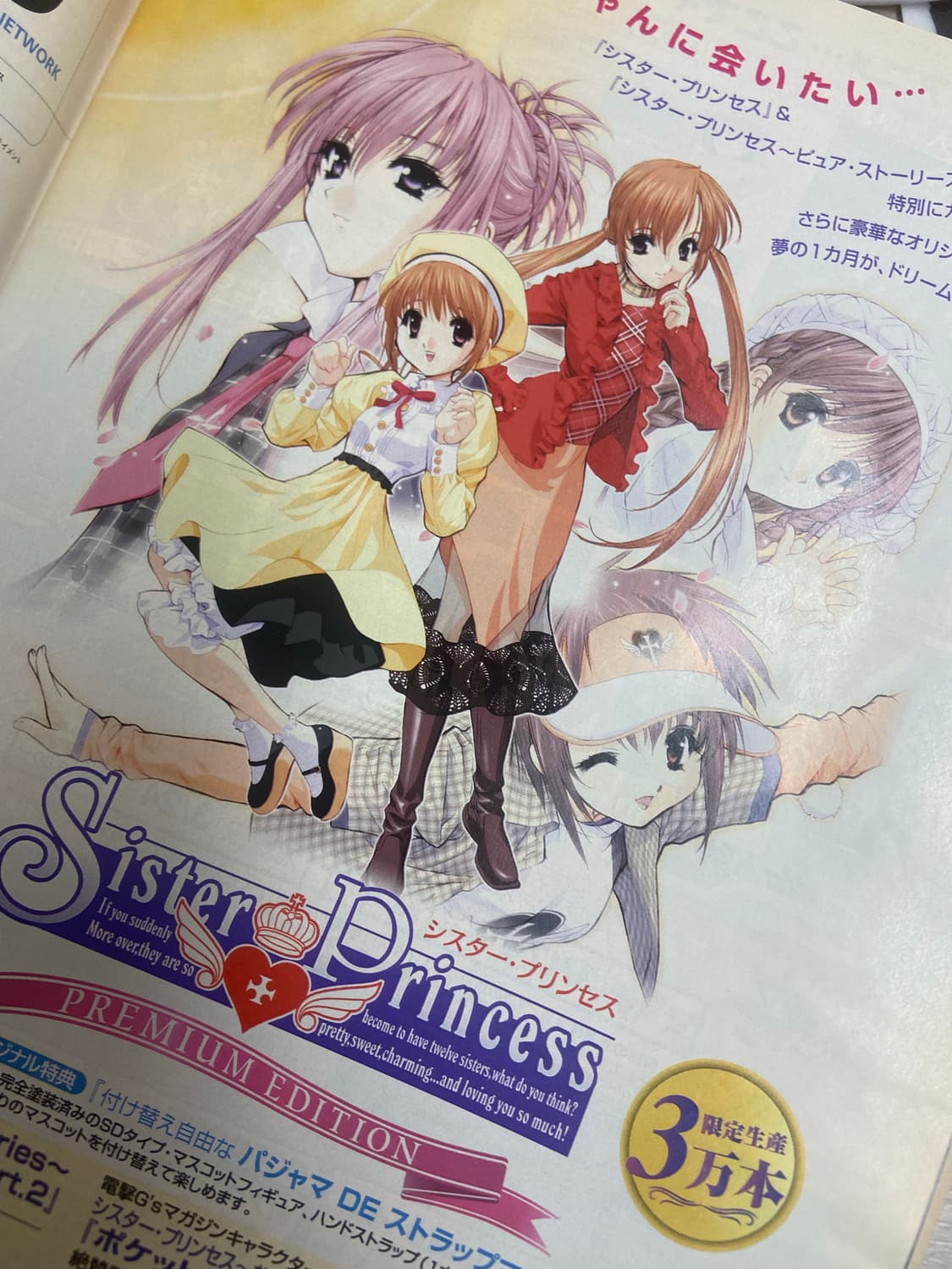 뉴타입 newtype 쵸비츠 2002년 4월호 잡지 (DVD 포함) 상품이미지8