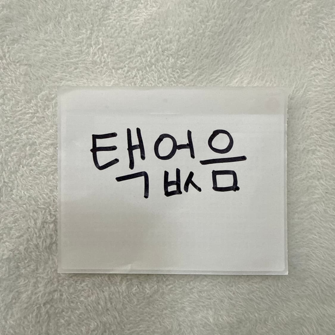 L S로고 맨투맨 0512T 상품이미지4