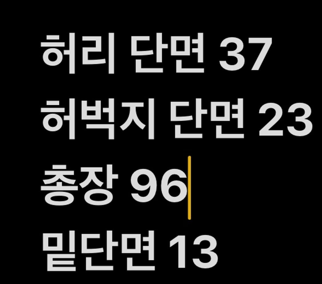 [ 정품/76 ] 내셔널지오그래픽 카고 팬츠 b15 상품이미지7