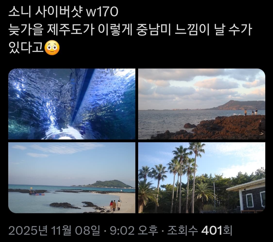 소니 사이버샷 w170 빈티지 디카 상품이미지6