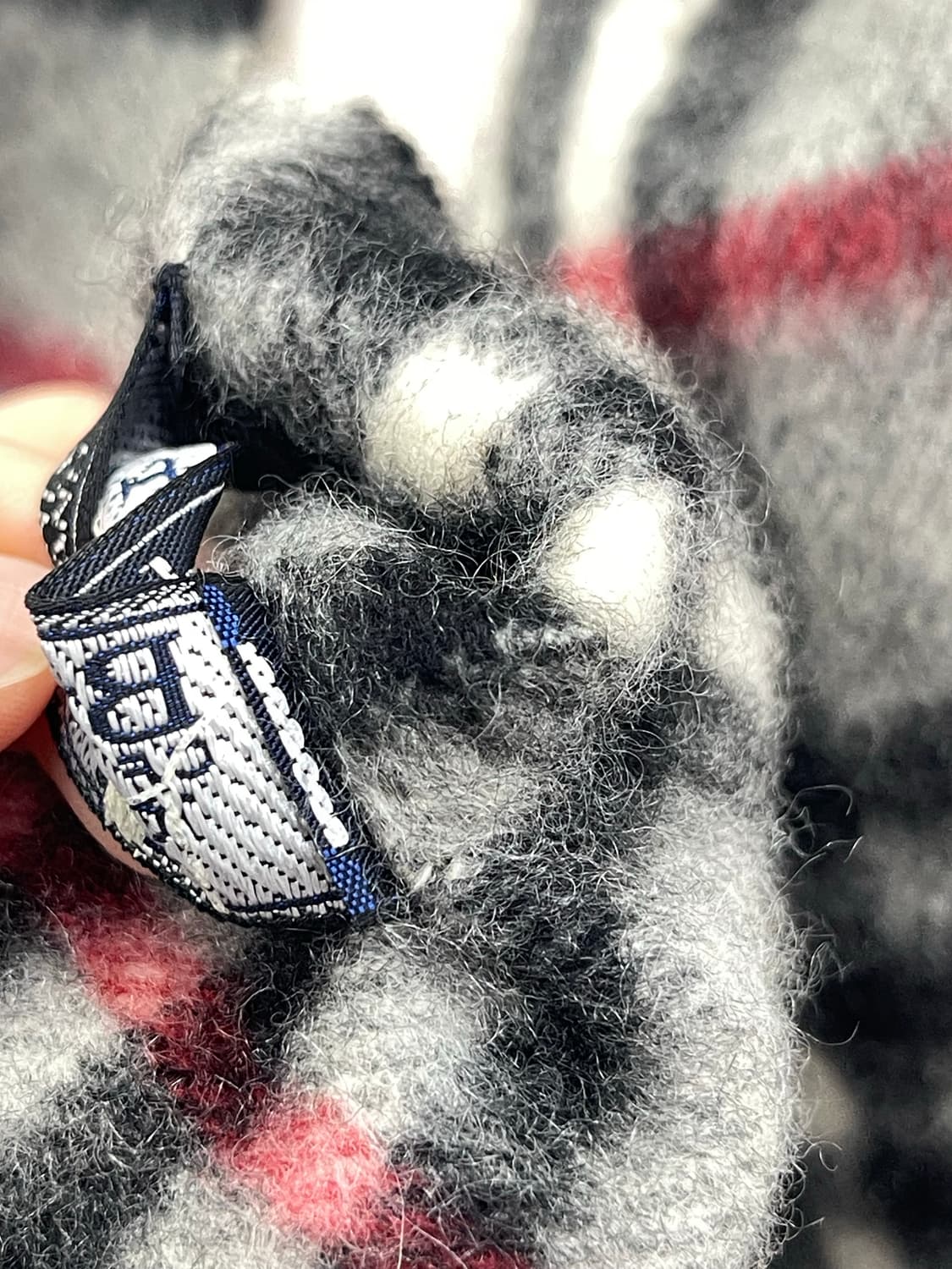 버버리 캐시미어 머플러  상품이미지6