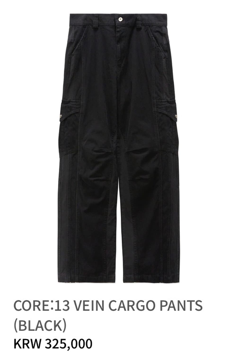 이그노타 CORE:13 VEIN CARGO PANTS BLACK S 상품이미지9