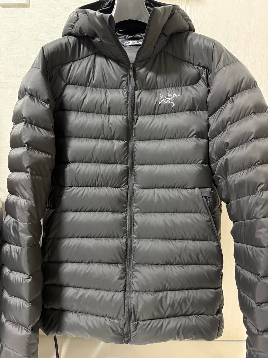 아크테릭스 세륨 후디 블랙 M 상품이미지1