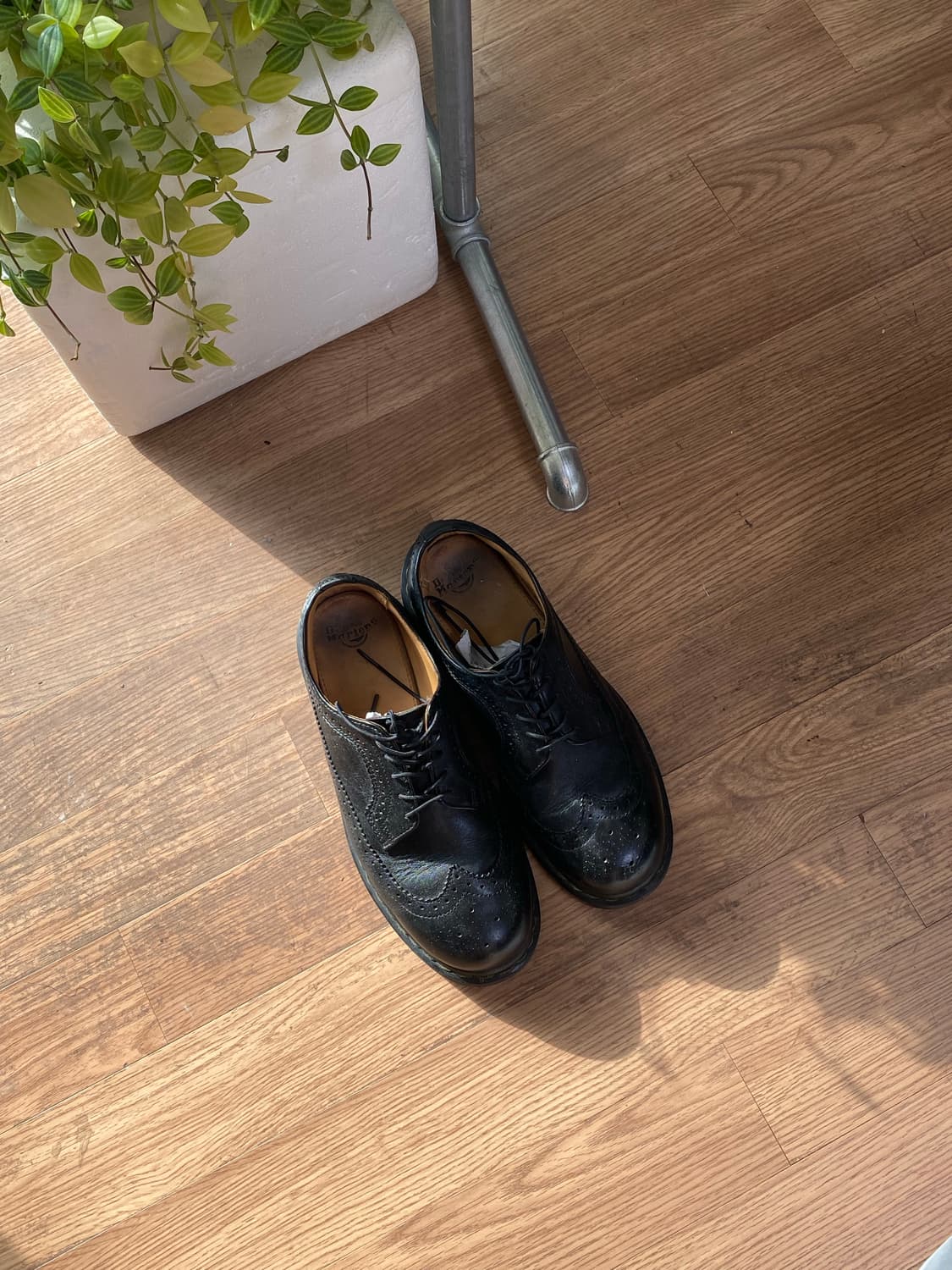 닥터마틴 윙팁 검정 상품이미지2