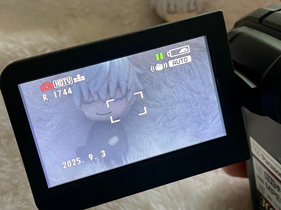 (박스O) 파나소닉 panasonic SDR-S300 상품이미지5