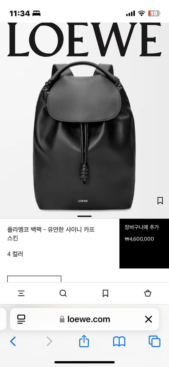 로에베 플라멩코 레더 백팩 블랙 상품이미지1