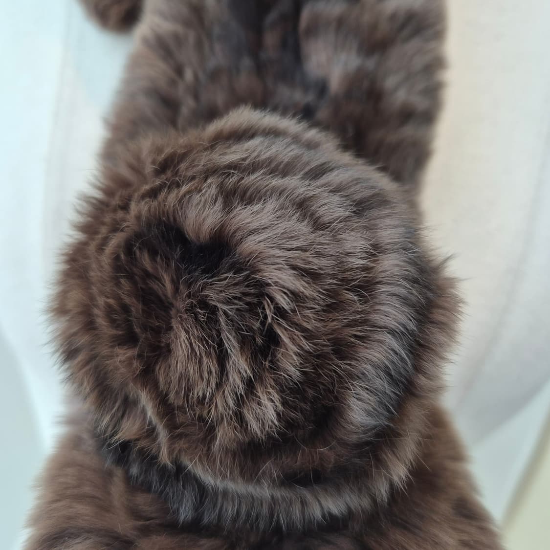 브라운믹스 리얼 렉스퍼 플라워 고리 머플러 상품이미지4