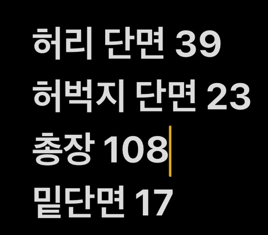 [ 정품/30 ] 에비수 슬림 워싱 데님 팬츠 b10 상품이미지8