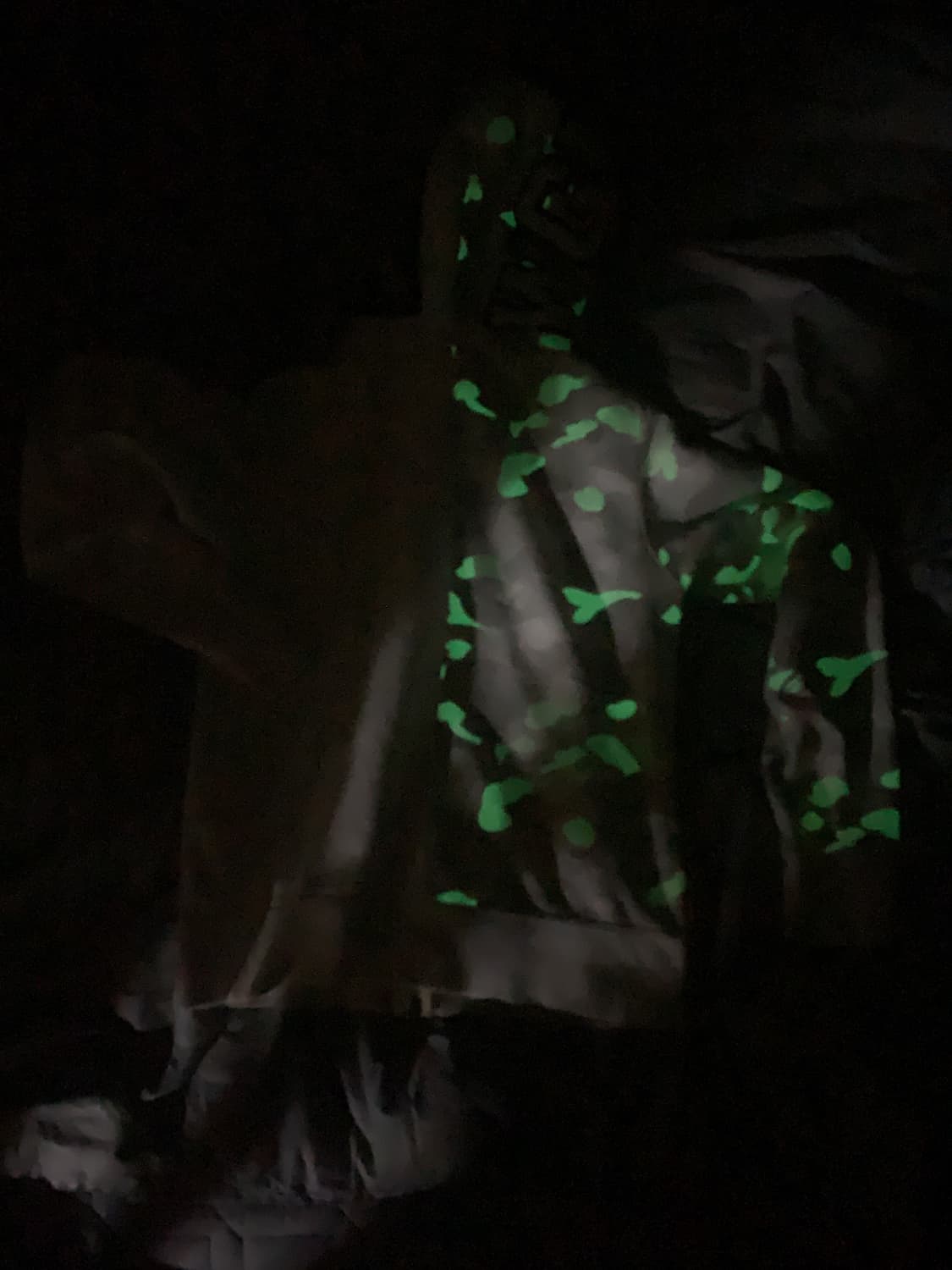 베이프 샤크후드 판매/교신 상품이미지7