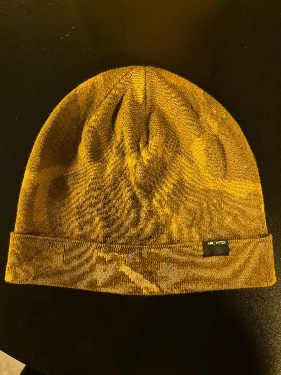 아크테릭스 비니 상품이미지1