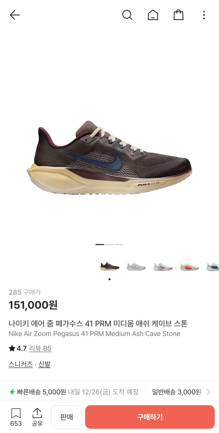 나이키 페가수스 41 PRM 285 상품이미지7
