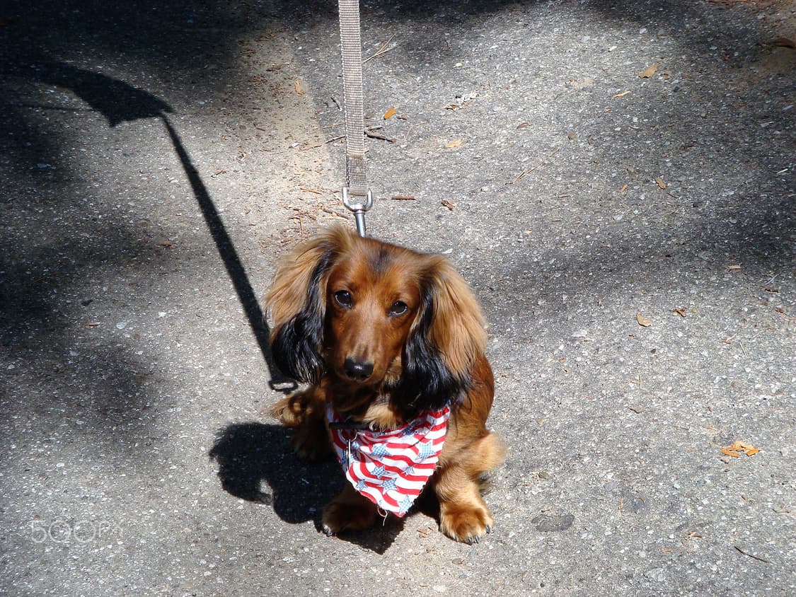 Sony t-100 빈티지 디카 (mint) 상품이미지9