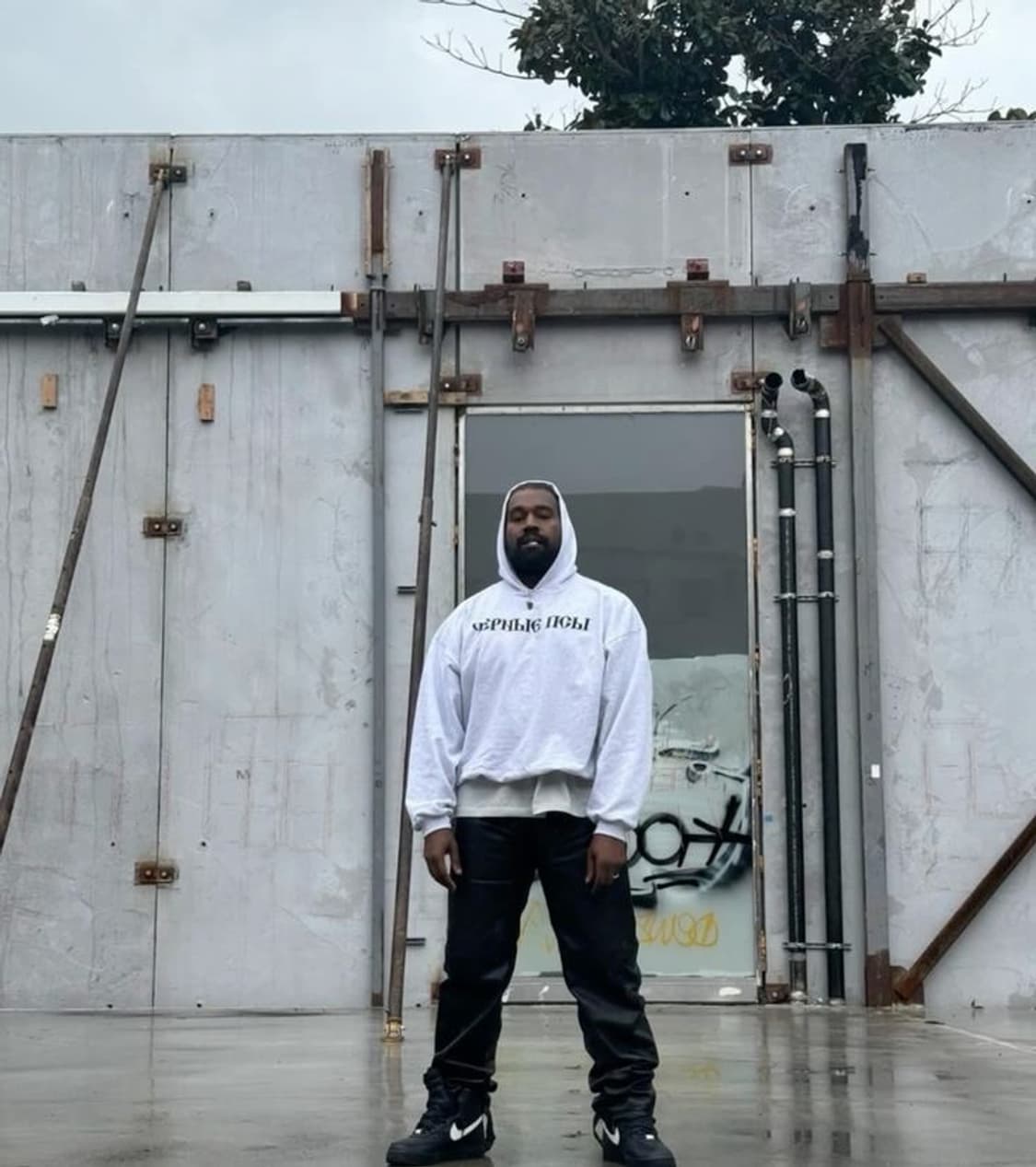 이지 블랙독 그레이 2사이즈 상품이미지1