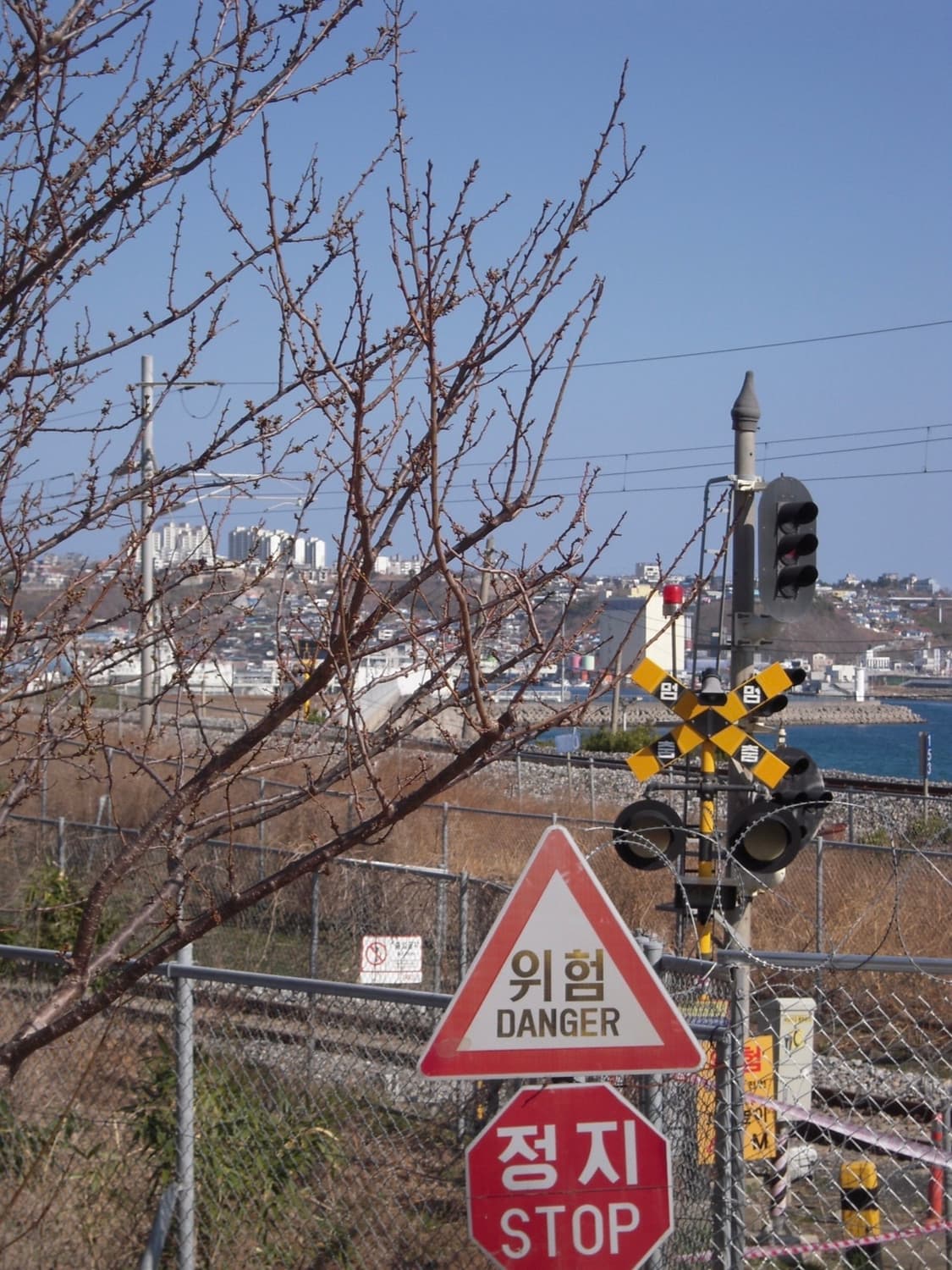 니콘 쿨픽스 S600 빈티지디카 디지털카메라 상품이미지2