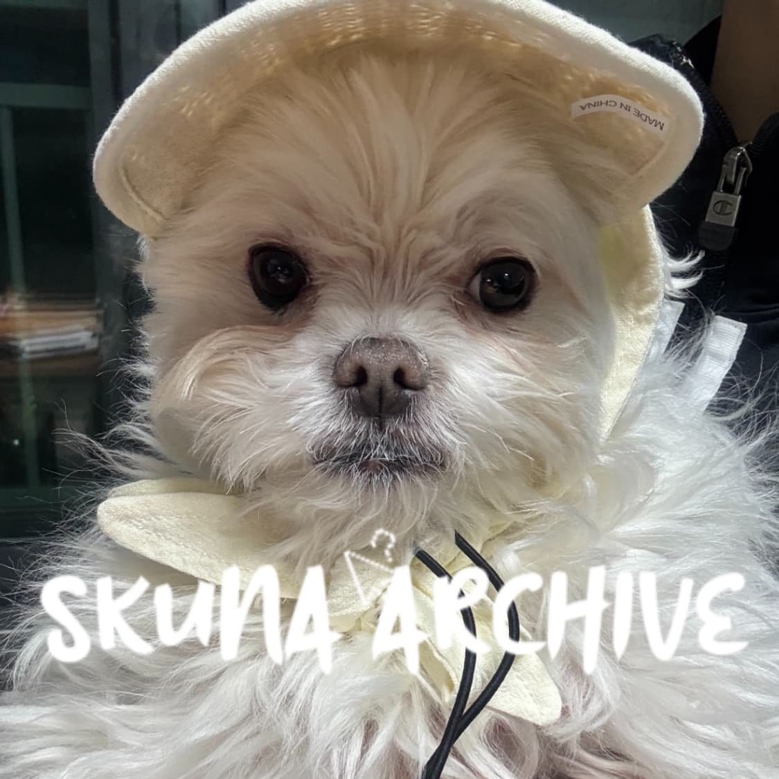 For Woon🍀 상품이미지1