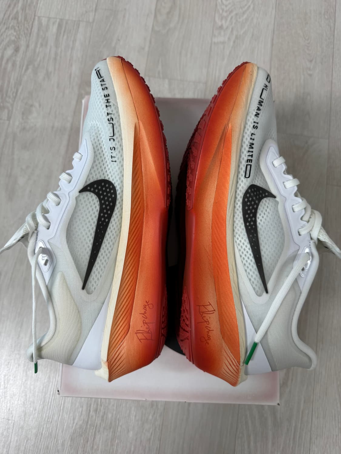 [280] 새상품 나이키 줌플라이6 킵초게 카본화 러닝화 상품이미지4