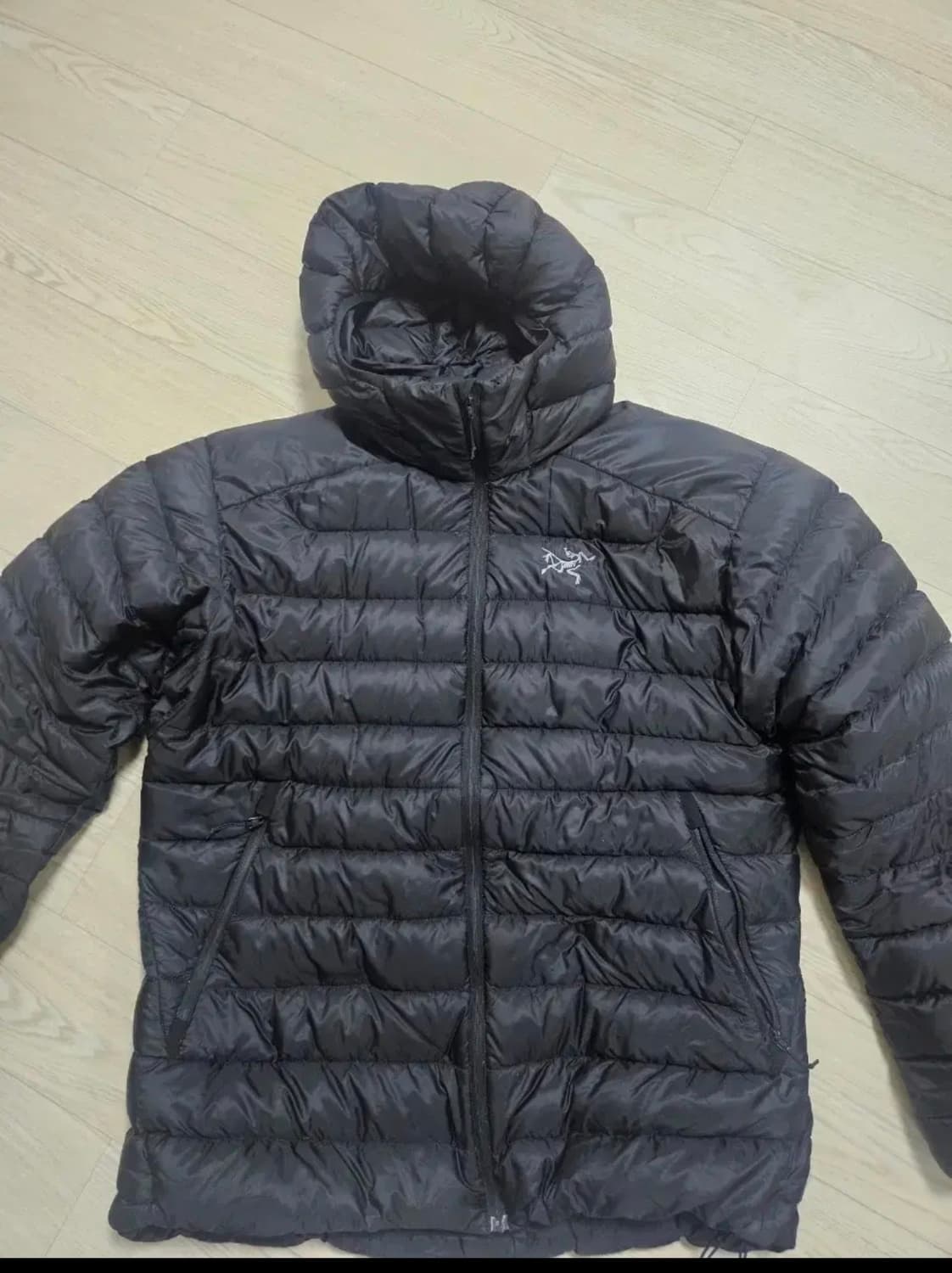 아크테릭스 후디 l 팝니다 상품이미지1