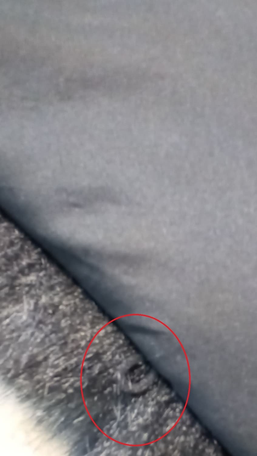 인조퍼카라 가죽 라이더 자켓 (새상품) 상품이미지5