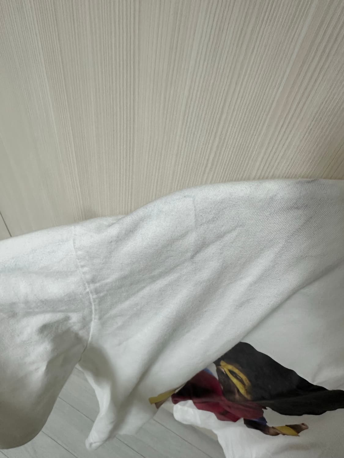 아크메드라비 상품이미지3