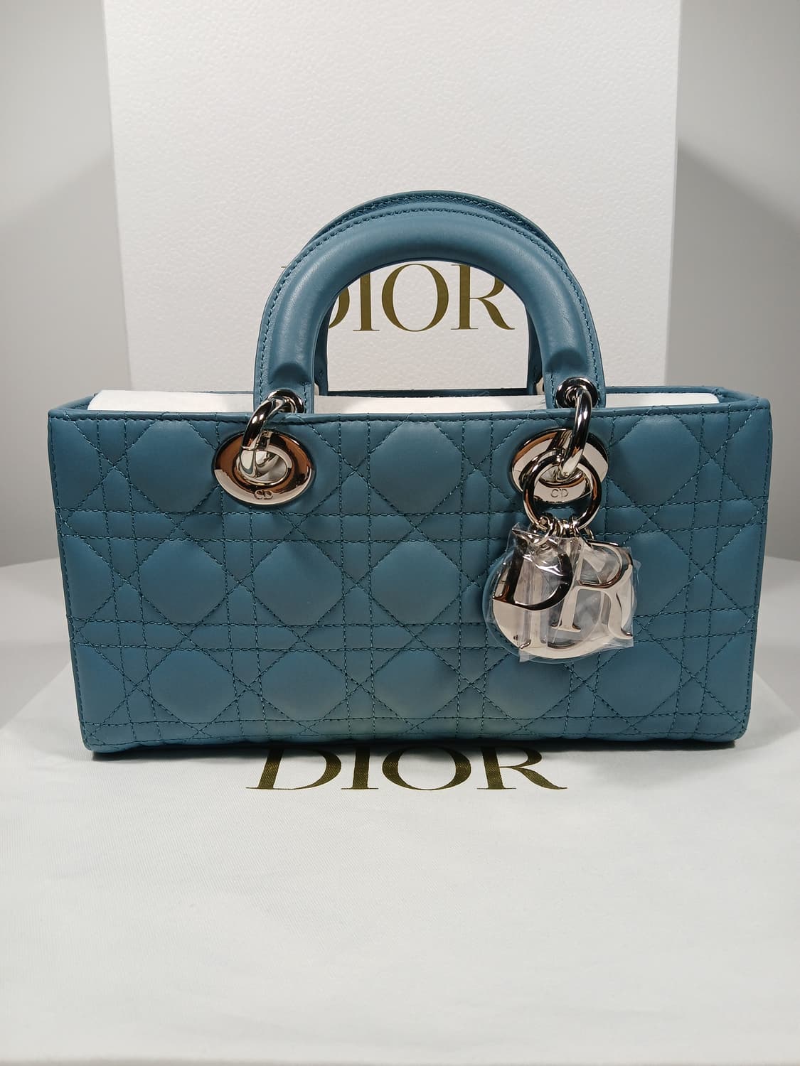 디올 레이디 디조이 토트백 미듐 M0540PNGE 상품이미지2