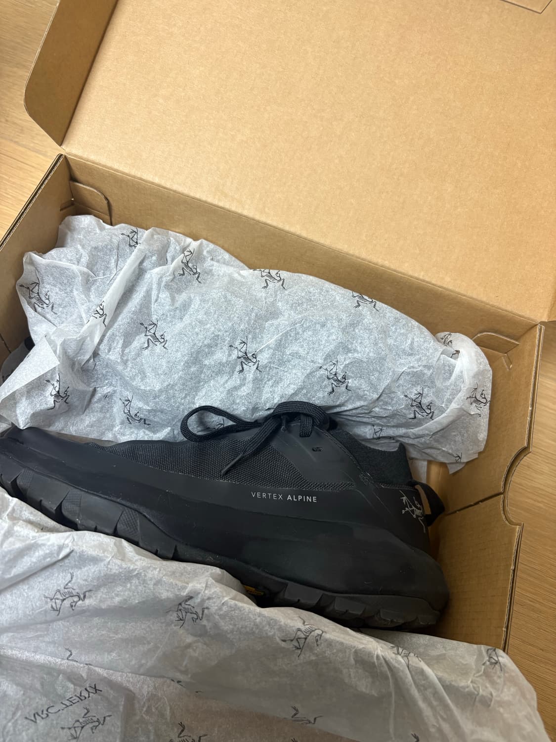 Arc'teryx Vertex Alpine Black 상품이미지2