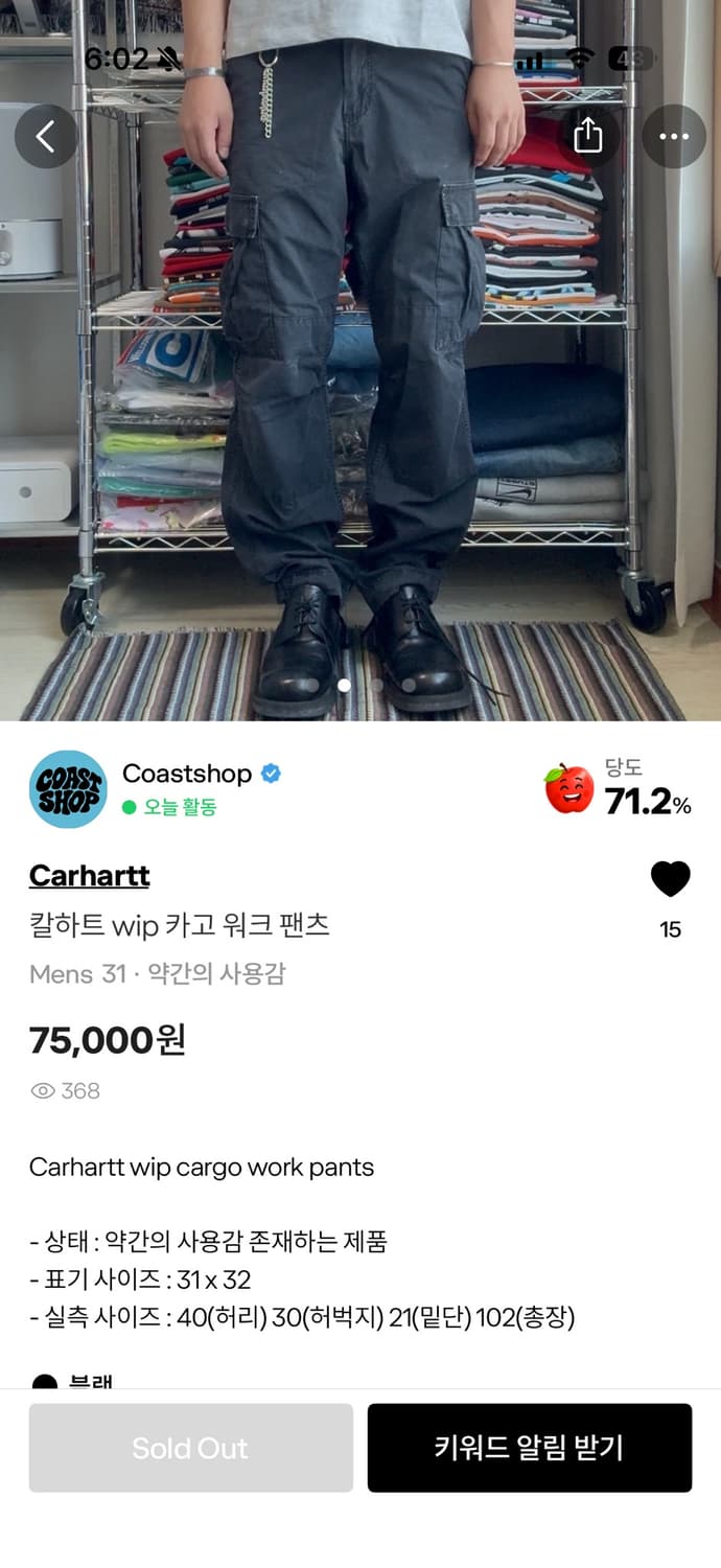 칼하트 카고팬츠 상품이미지2