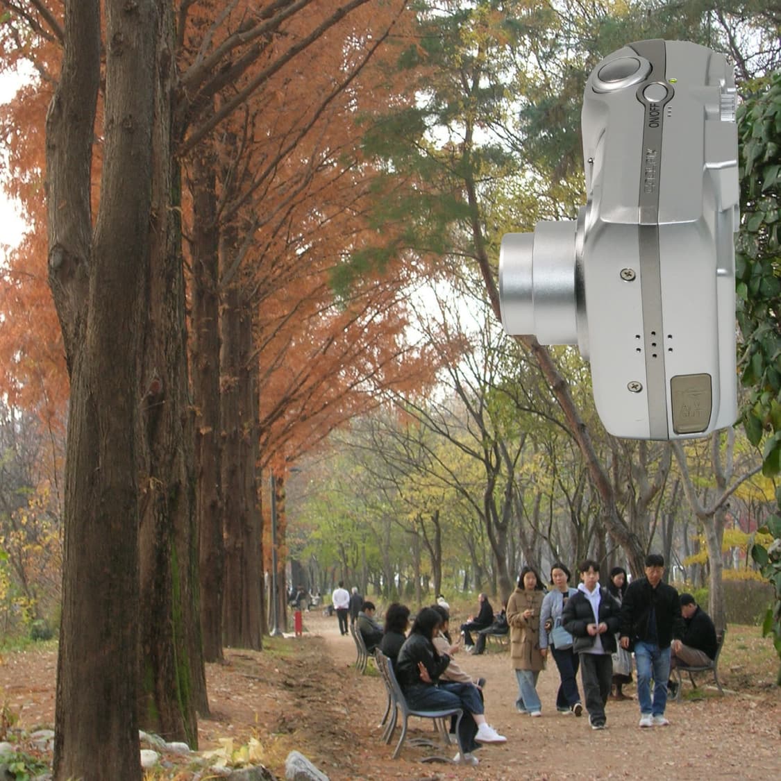 Coolpix 5600 (✨민트급/🎁풀패키지) 상품이미지8