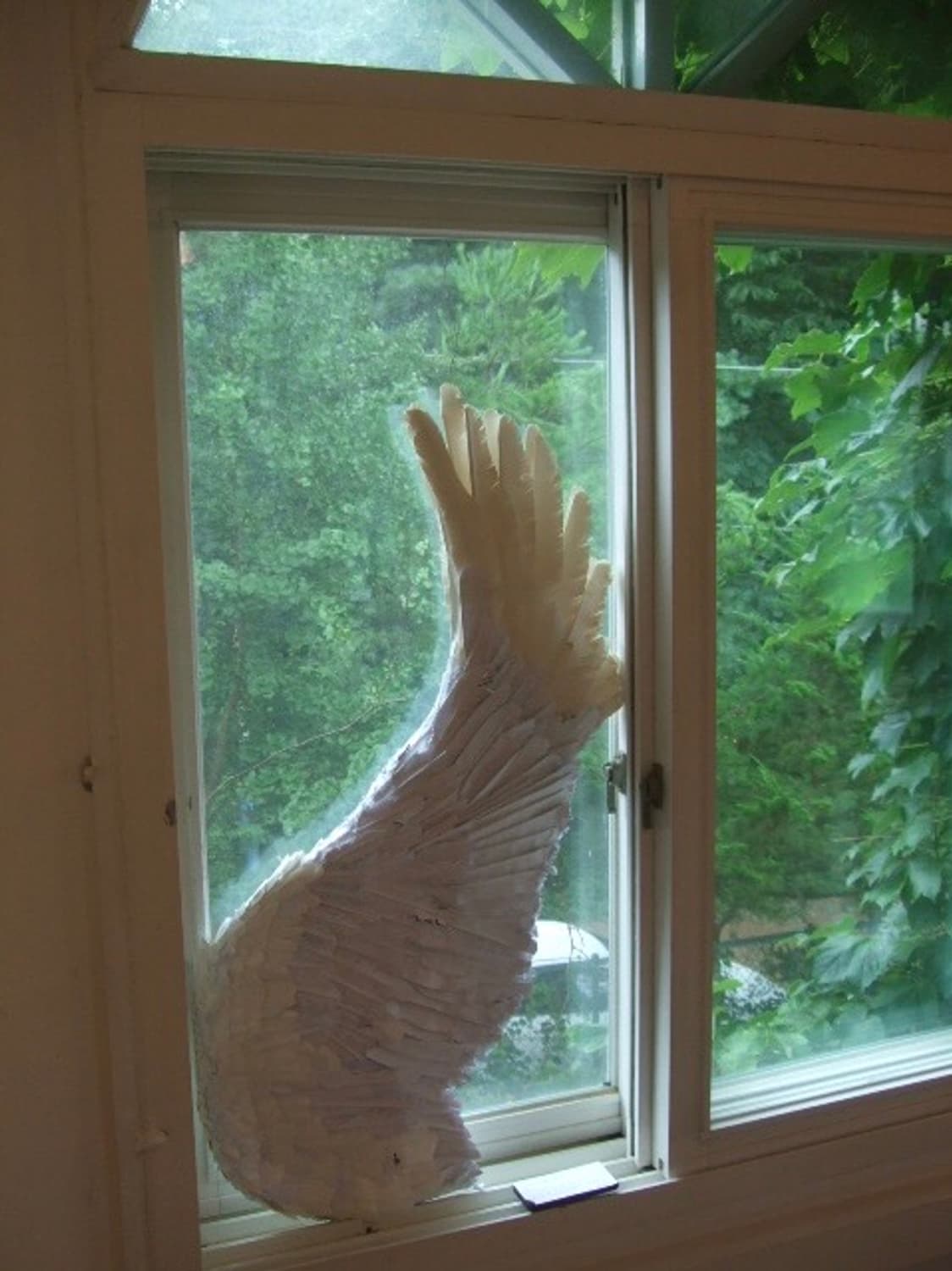 후지 파인픽스 F40fd 상품이미지6