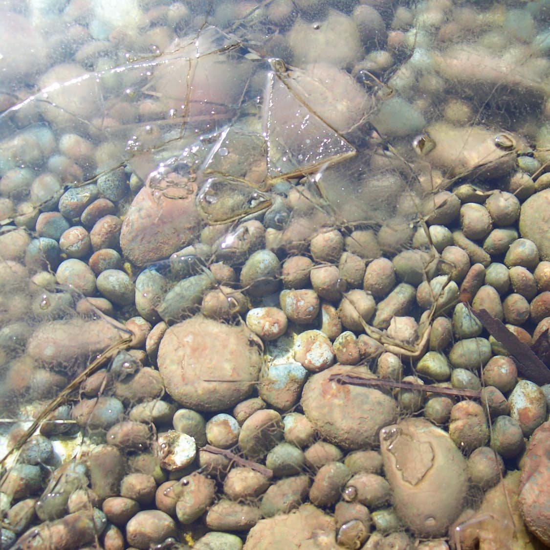 Kodak Easyshare c713 실버(직접 찍은 작례⭕️) 상품이미지9